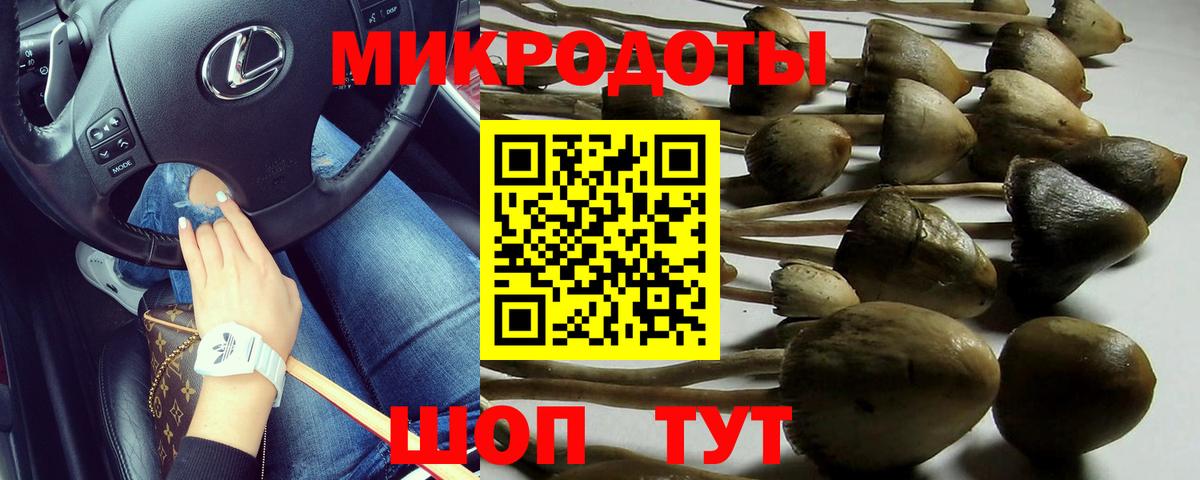 Алейск  Галлюциногенные грибы Cubensis  Вход с VPN  Галлюциногенные грибы GOLDEN TEACHER 
